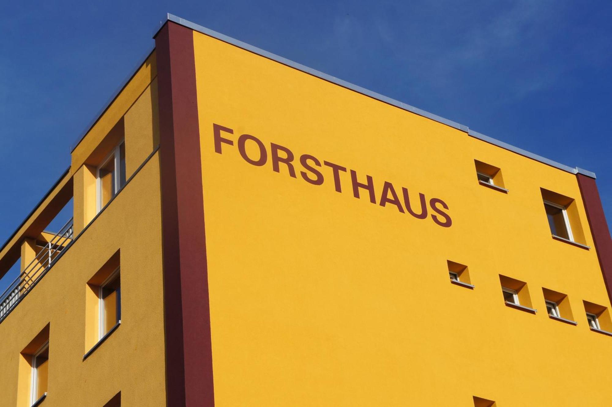Forsthaus Appartements Brunswick Extérieur photo